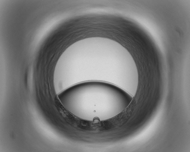 X0000112930382200908241059