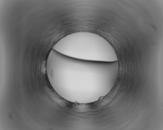 X0000112930383200908241059