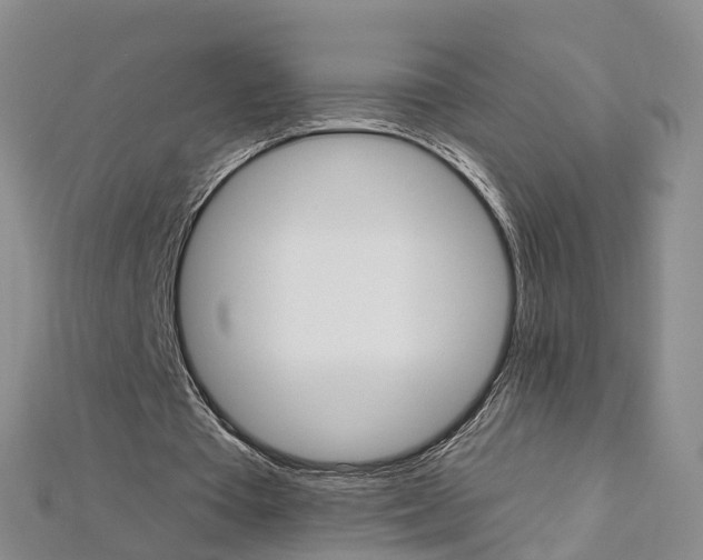 X0000112930385200908241059
