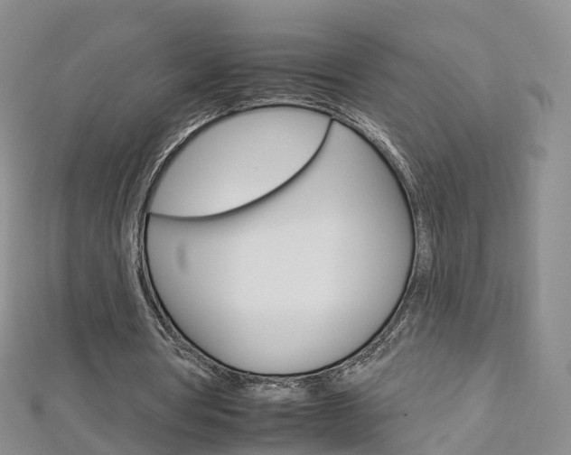 X0000112930386200908241059