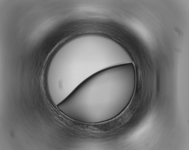 X0000112930387200908241059
