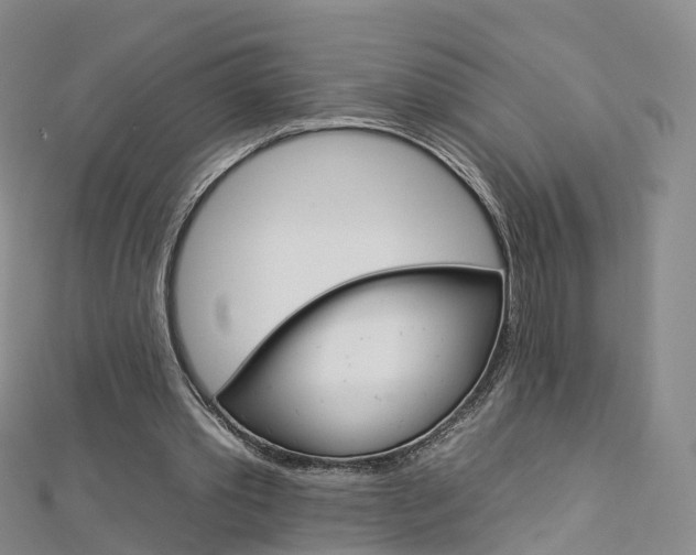 X0000112930389200908241059