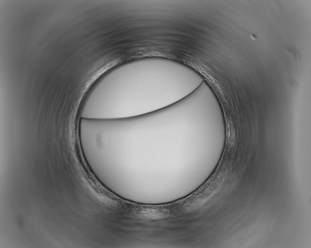 X0000112930390200908241059