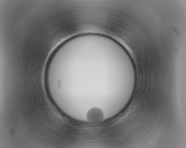 X0000112930391200908241059