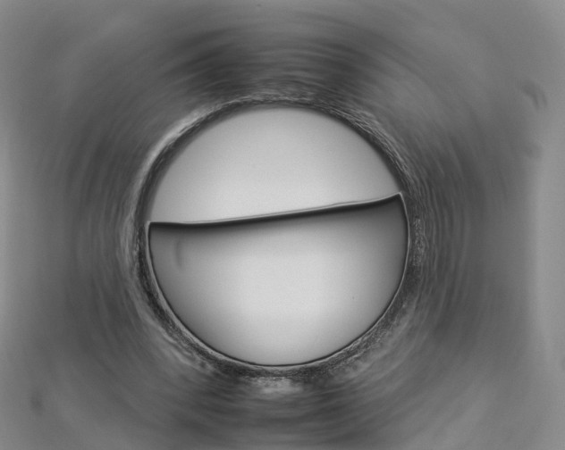 X0000112930392200908241059