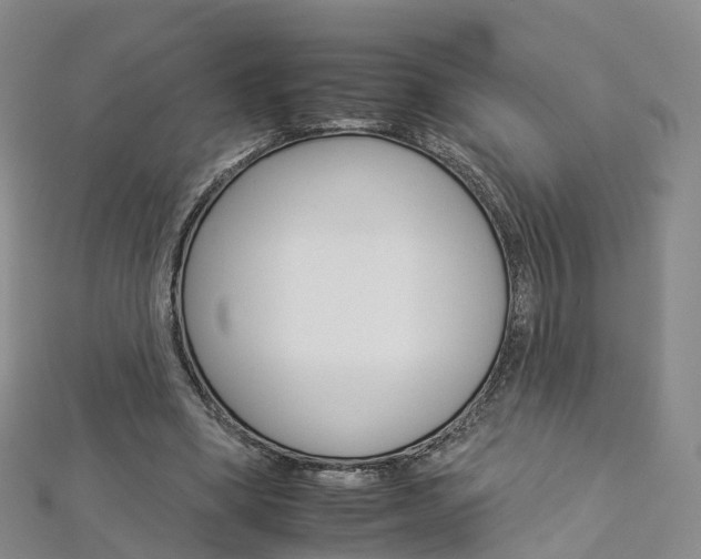 X0000112930394200908241059
