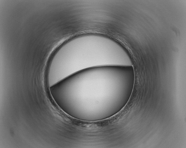 X0000112930395200908241059