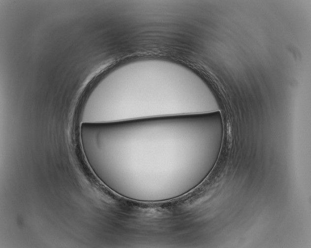 X0000112930396200908241059