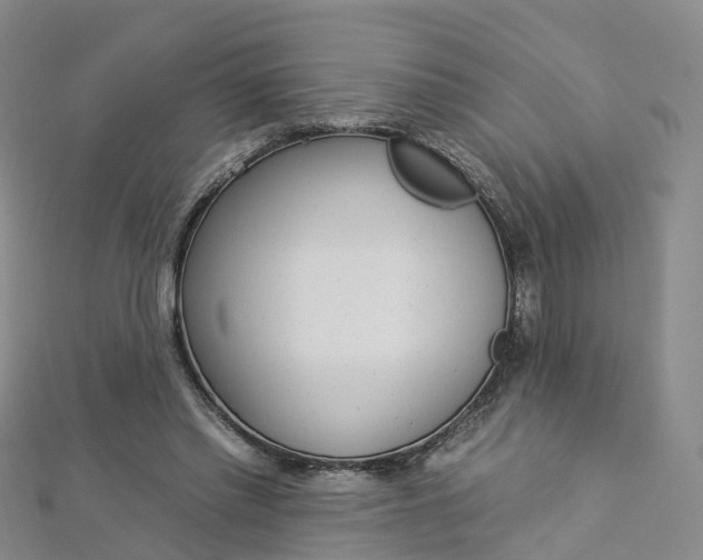 X0000112930397200908241059