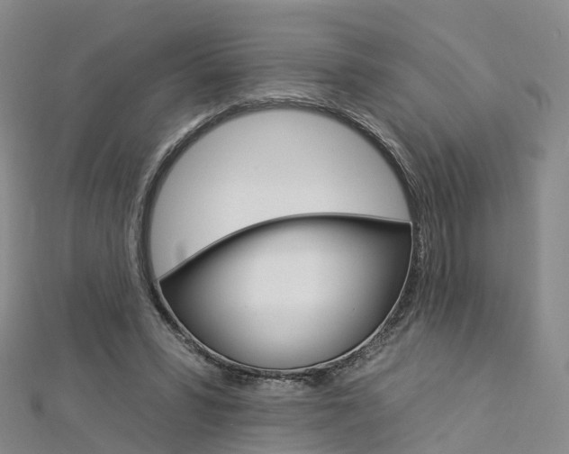 X0000112930399200908241059