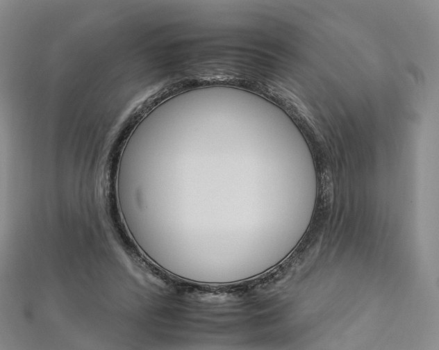 X0000112930400200908241058