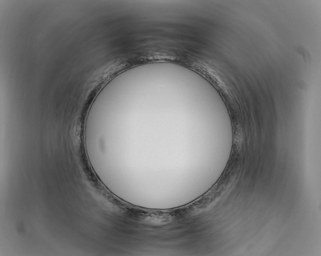 X0000112930402200908241058