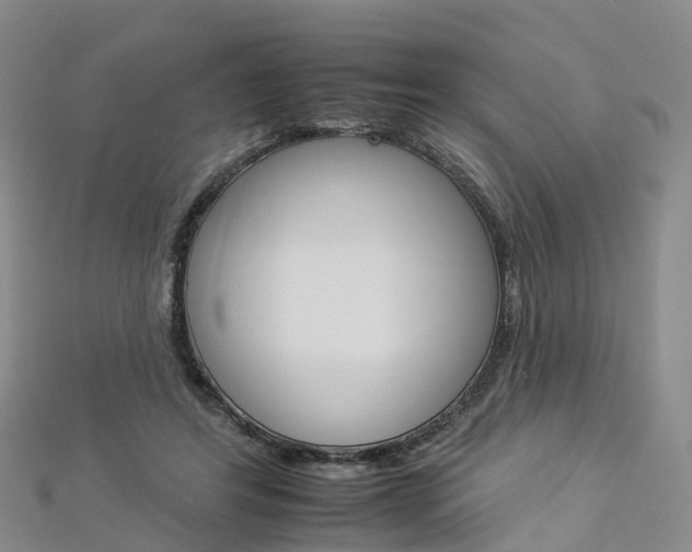 X0000112930404200908241058