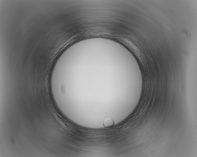 X0000112930405200908241058