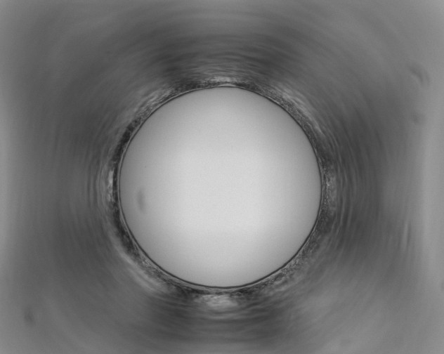 X0000112930406200908241058