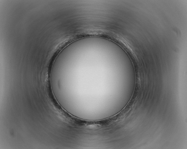 X0000112930407200908241058