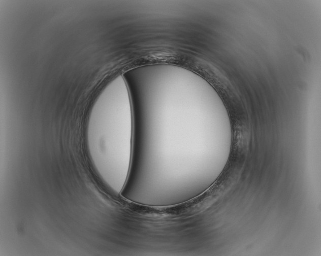 X0000112930408200908241058