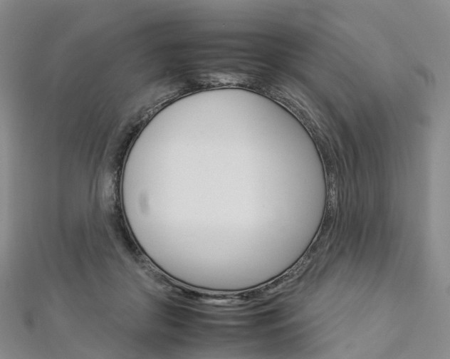 X0000112930410200908241058