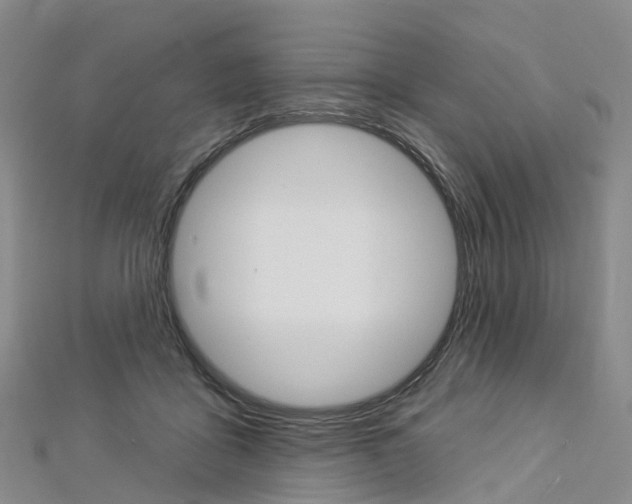 X0000112930411200908241058