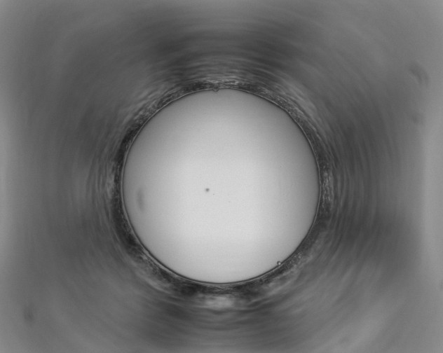 X0000112930412200908241058