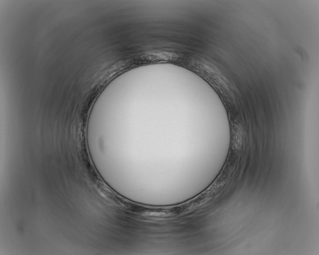 X0000112930414200908241058