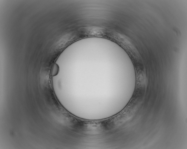 X0000112930415200908241058