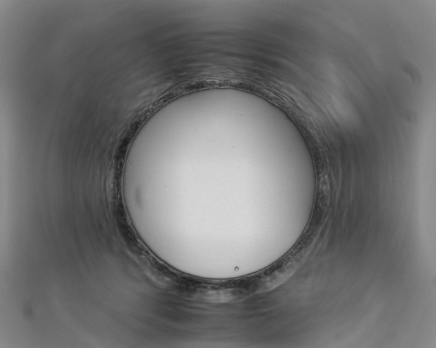 X0000112930416200908241058