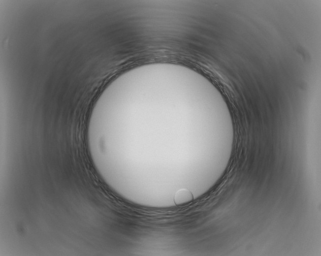 X0000112930417200908241058