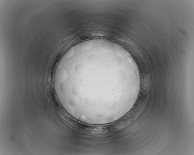 X0000112930418200908241058