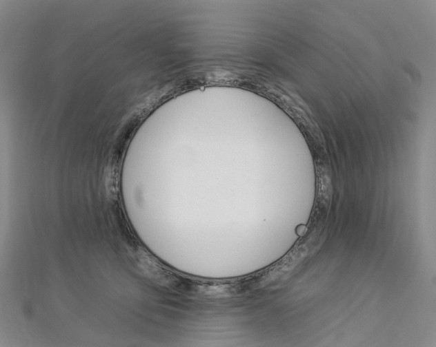 X0000112930419200908241058