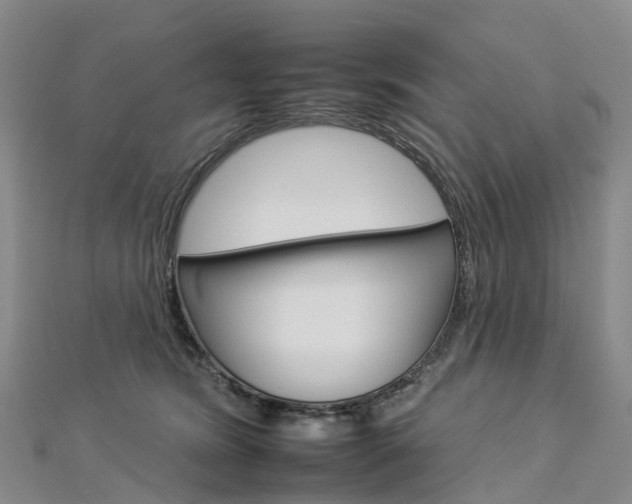 X0000112930420200908241058