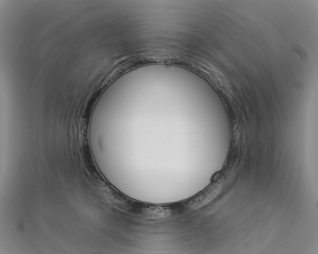 X0000112930421200908241058