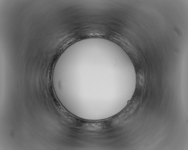 X0000112930422200908241058