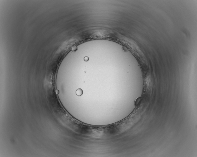 X0000112930423200908241058