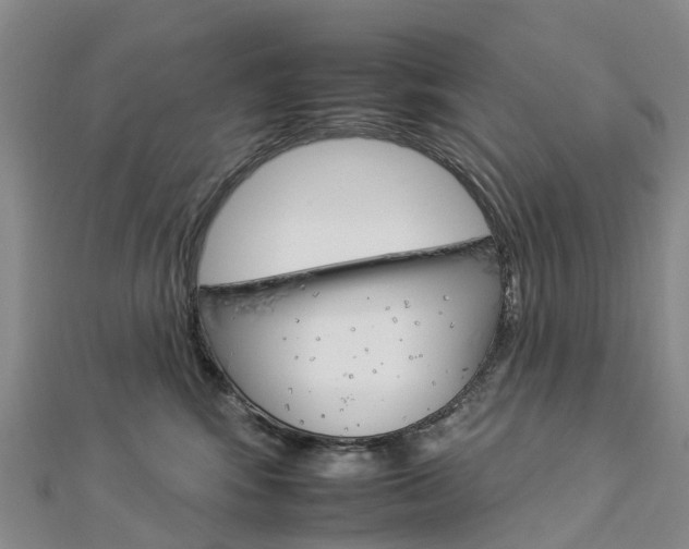 X0000112930424200908241058