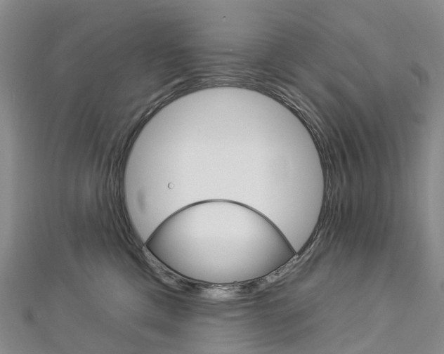X0000112930425200908241058
