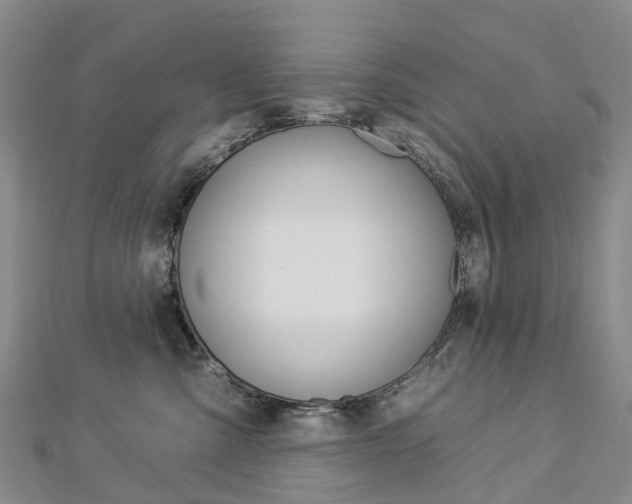 X0000112930427200908241058