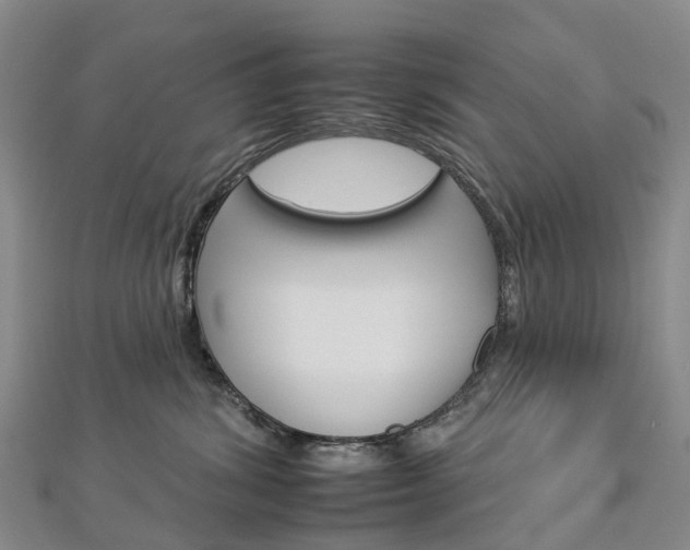 X0000112930428200908241058