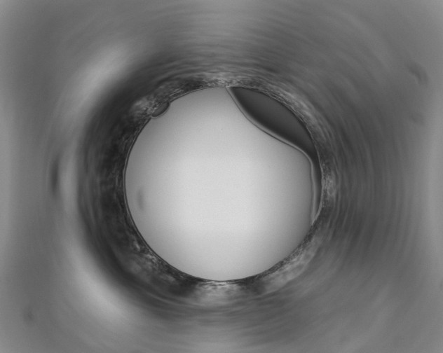 X0000112930429200908241058
