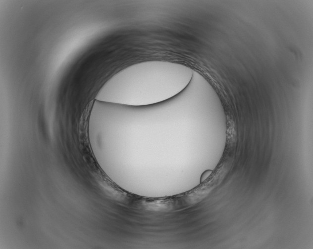 X0000112930430200908241058
