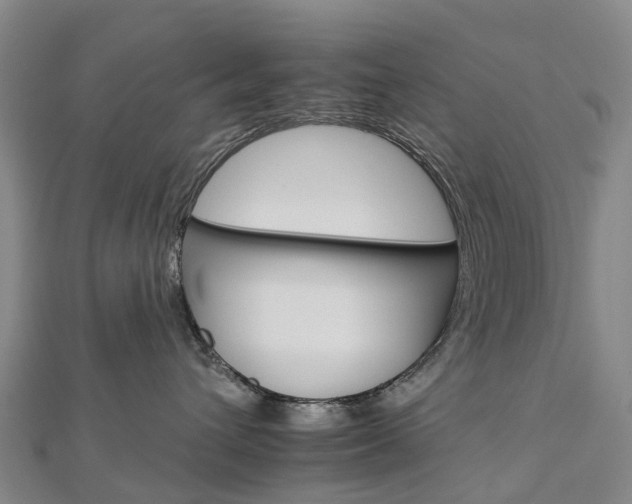 X0000112930432200908241058