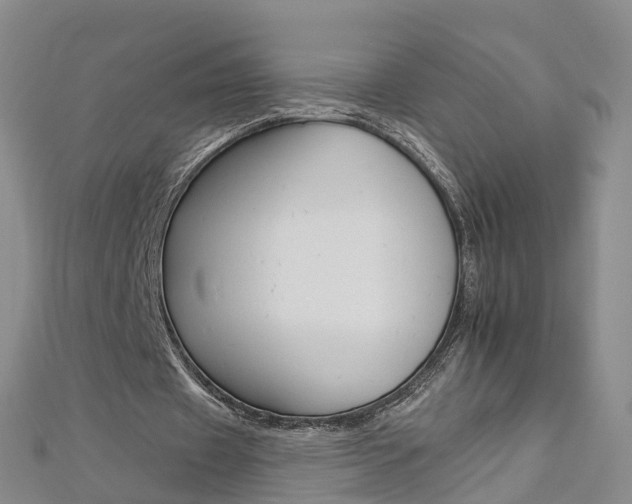 X0000112930433200908241057