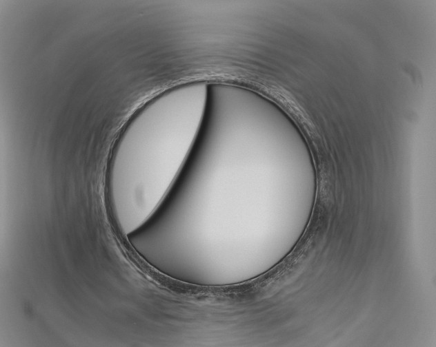 X0000112930434200908241057