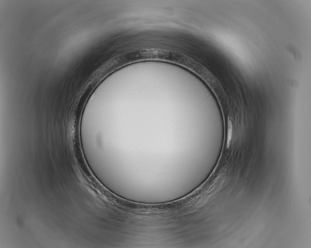 X0000112930435200908241057