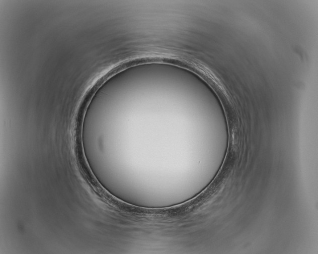 X0000112930436200908241057