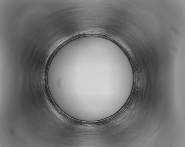 X0000112930437200908241057