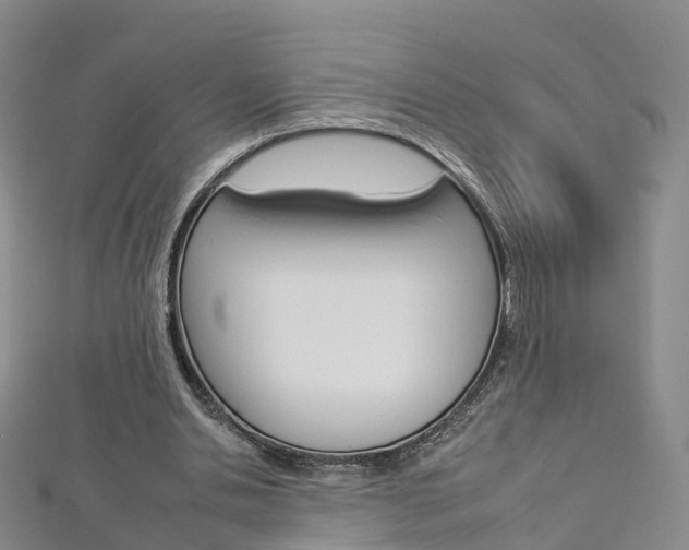 X0000112930438200908241057