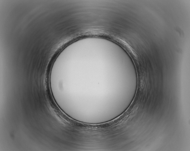 X0000112930439200908241057