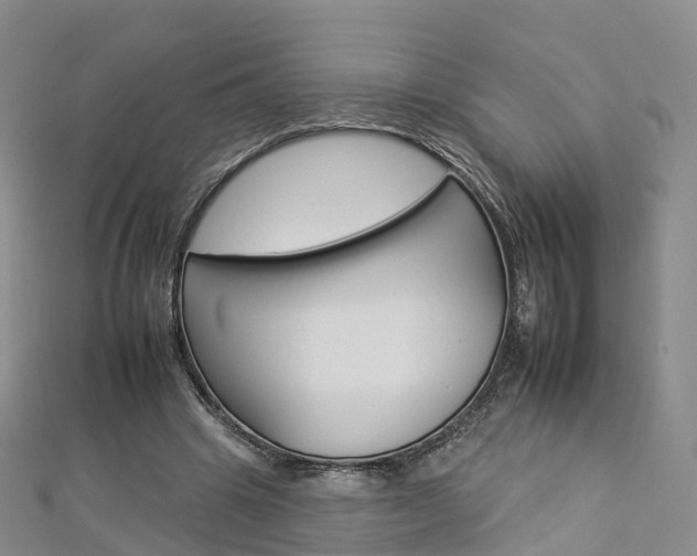 X0000112930441200908241057