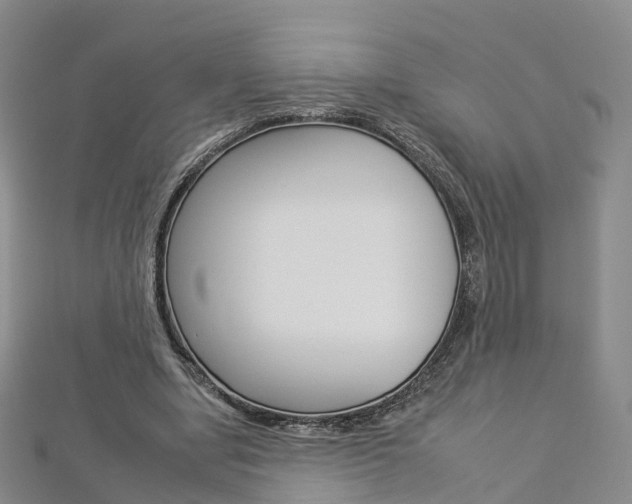 X0000112930442200908241057